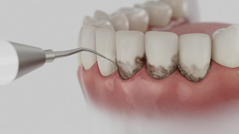 Reliable Dental contractor in Lockport Heights, LA by Dentist Open Now